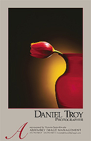 Daniel Troy