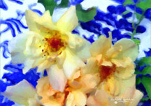 Golden Blossoms