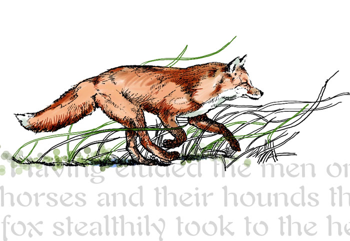 Fox Running