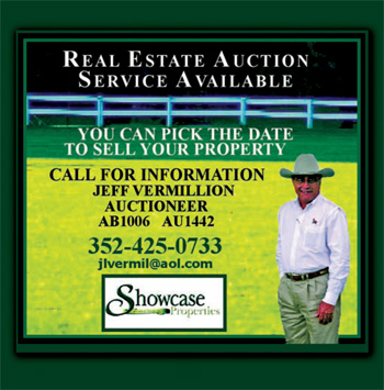Vermillion, Auctioneer